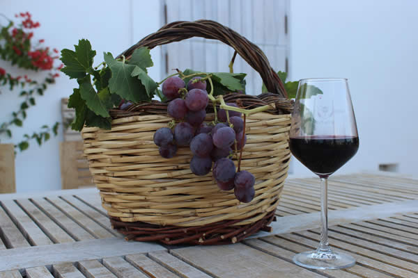Puglia red wine