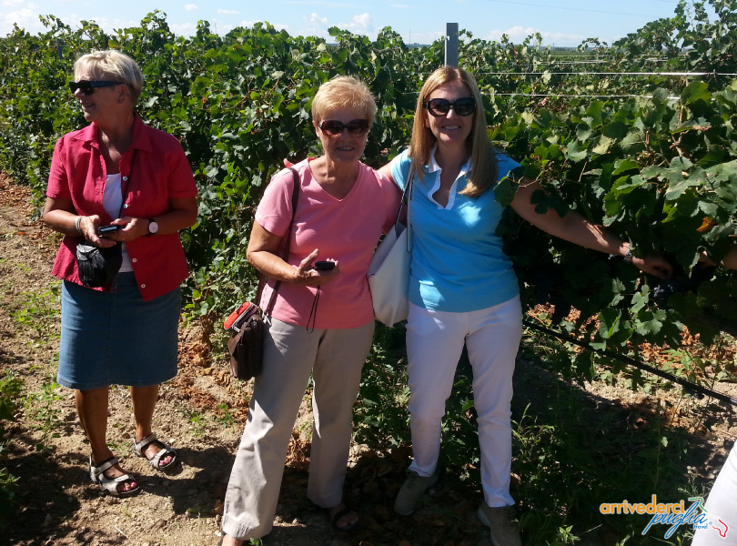 Puglia wine tour