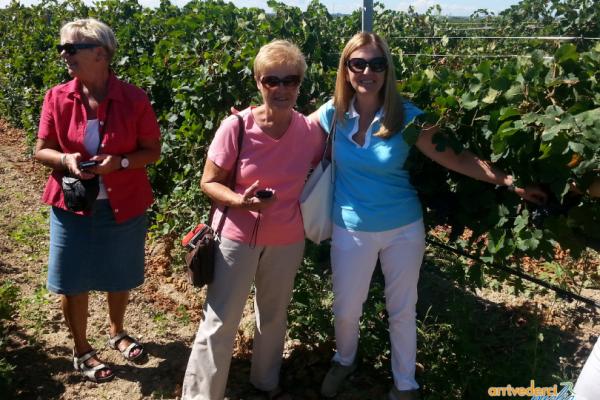 Wine tour in Puglia