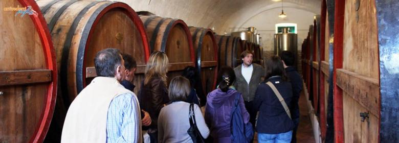 Italy wine tours